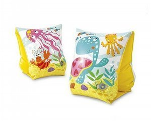 طواشات ايدان